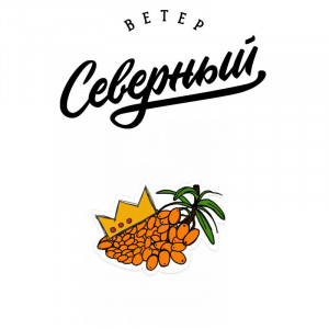 Табак для кальяна Северный - Воровская облепиха 100г