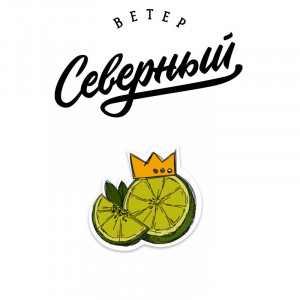 Табак для кальяна для кальян Северный - Взлетный Лайм 100г