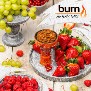 Табак для кальяна Burn - Berry Mix (Клубника, Малина, Виноград) 200г