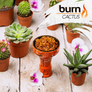 Табак для кальяна Burn Cactus (Кактус) 200г