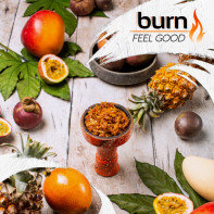 Табак для кальяна Burn Feel Good (Манго маракуйя банан) 100г