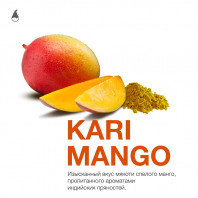 Табак для кальяна Mattpear - Kari Mango (Манго специи) 50г