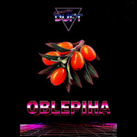 Табак для кальяна Duft - Oblepiha (Облепиха) 20г