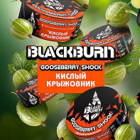 Табак для кальяна Black Burn - Кислый крыжовник (Gooseberry shock) 25г