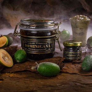 Табак для кальяна WTO DOMINICANA - Фейхоа D04 20г