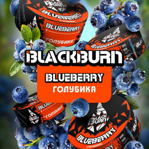 Табак для кальяна Black Burn - Голубика (Blueberry) 100г