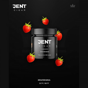 Табак для кальяна JENT Cigar - Земляника 25г