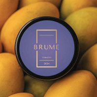 Табак для кальяна BRUME - MANGO PULP (Манго) 25г