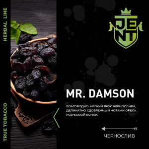 Табак для кальяна JENT - Mr. Damson (Чернослив) 25г