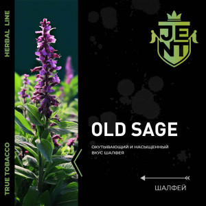 Табак для кальяна JENT - Old Sage (Шалфей) 25г