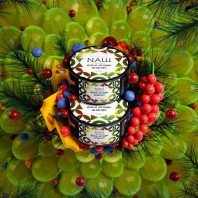 Табак для кальяна NАШ (НАШ) - Елки Ананас Ягоды 40г